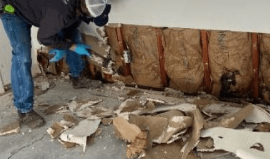 Reynolds Carpet Cleaning Service & Janitorial 